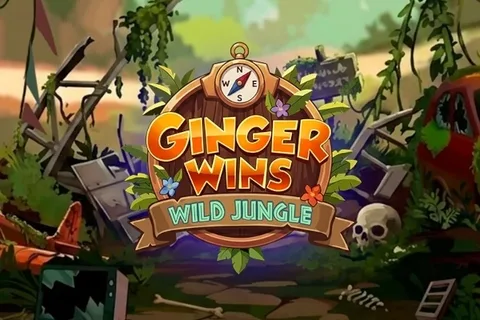 Ginger Wins — Peter & Sons